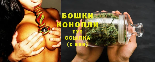 метадон Инта
