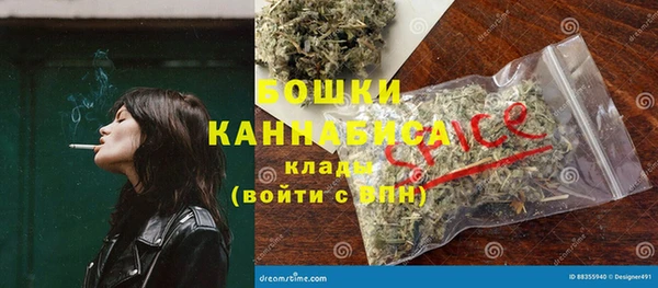 метадон Инта