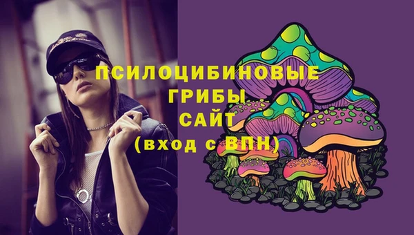 apvp Заволжск