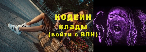 прущие грибы Заволжье