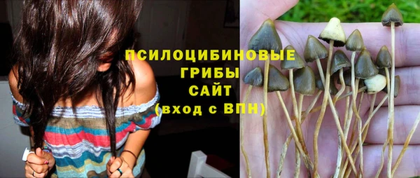 дмт Иннополис