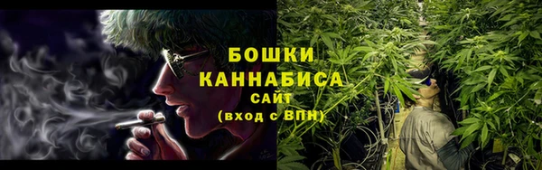 метадон Инта
