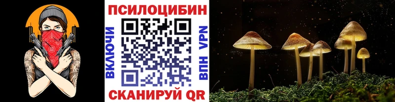 Галлюциногенные грибы прущие грибы  где купить   Сусуман 