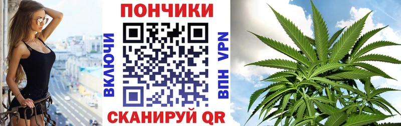 Бошки Шишки планчик  Сусуман 
